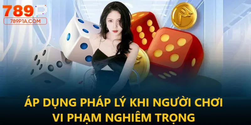 Xử lý tranh chấp trong điều khoản điều kiện 789P