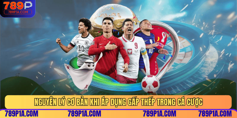 Nguyên lý cơ bản khi áp dụng gấp thếp trong cá cược