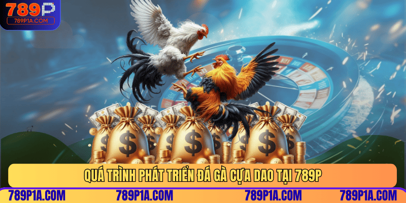 Quá trình phát triển đá gà cựa dao tại 789P