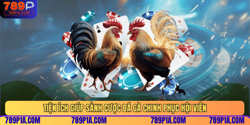 Tiện ích giúp sảnh cược đá gà chinh phục hội viên