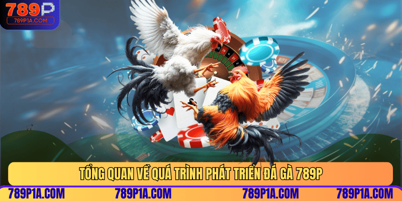 Tổng quan về quá trình phát triển đá gà 789P