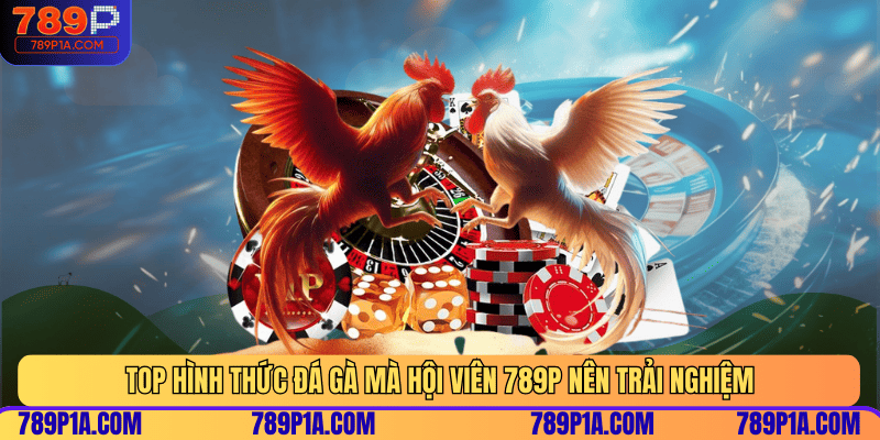 Top hình thức đá gà mà hội viên 789P nên trải nghiệm