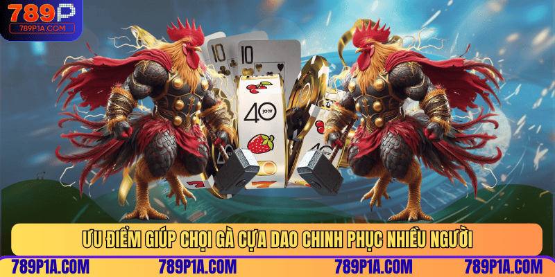 Ưu điểm giúp chọi gà cựa dao chinh phục nhiều người